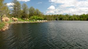 Overview things to do hotels. The Schumin Web Lake Artemesia