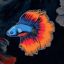 Untuk ikan cupang giant ini merupakan persilangan ikan cupang yang sudah dibudidayakan dengan ikan cupang alam, hingga bisa mencapai panjang 12 cm. Logo Ikan Cupang Bettafish Fish Illustration Cupang Betta