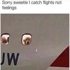Check spelling or type a new query. Sorry Sweetie I Catch Flights Not Feelings Meme Ahseeit