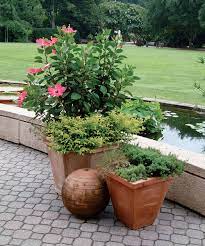 How to design a garden with pots. 3 Ways To Design With Containers Finegardening
