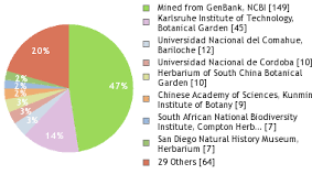 Image result for Lycium schizocalyx