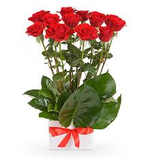 Use promo code save20 at online checkout to receive $20 off on your first online order of $75 or more! Flowers From 39 Easyflowers Australia Send Flowers Online Australia Wide With Australia S Favourite Online Florist