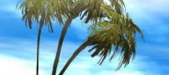 Corbin lawn care specializes in mowing, landscape design, mulch, planting, patios, and snow corbin lawn care made my lawn look absolutely perfect. Eden Lawn Care Landscape Construction Eden Lawn Care