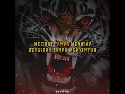 Maybe you would like to learn more about one of these? Story Wa Macan Putih Bahasa Sunda Lagu Mp3 Mp3 Dragon