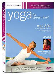 Basic yoga poses for beginners. The 9 Best Yoga Dvds Of 2021