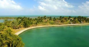 Check spelling or type a new query. 19 Best Florida Keys Campgrounds