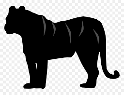 All tiger black and white clip art are png format and transparent background. White Tiger Felidae Silhouette Cat Silhouette Tiger Clipart Black And White Hd Png Download Vhv