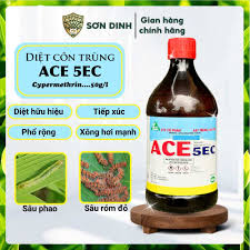 Ace 5EC