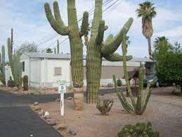 If you're able to expand your search outside of cactus gardens mobile home park, check out properties in these nearby areas Cactus Gardens Mobile Home Park For Sale In Apache Junction Az 578230