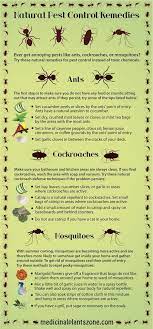 There are different approaches to pest. 130 Pest Control Infographics Ideas Pest Control Pests Garden Pests
