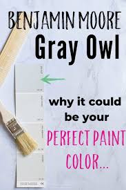 Benjamin Moore Gray Owl Color Study 31 Painted Spaces