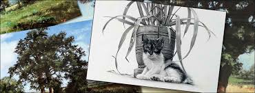 This simple video demonstrates repetitive techniques for drawing landscapes using graphite powder. How To Be A Colorblind Artist I Ll Show You How I Do It