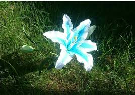 Zelda Breath of the Wild Inspired Silent Princess Large Flower prop