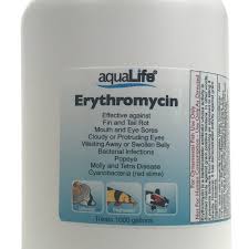 Image result for Erythromycin