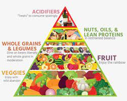 Each food group is represented by a colored stripe, thin and bold. Bailey S Food Pyramid 2016 Healthy Food Pyramid Transparent Png 1024x767 Free Download On Nicepng
