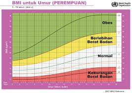 Individu yang sangat berotot seperti atlet dan ahli bina badan. Cara Kira Bmi Untuk Dewasa Kanak Kanak Ibu Mengandung