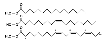 Triglyceride Wikipedia