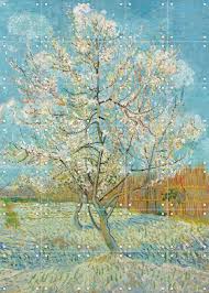 Image result for Peach Pink 1983 Hussmann