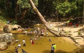 Heard tell me when on adam curry's top 30, and the league, whom i hadn't heard from since i was in 5th grade, was back and. Save Palestine On Twitter 17 Hutan Lipur Kuala Woh
