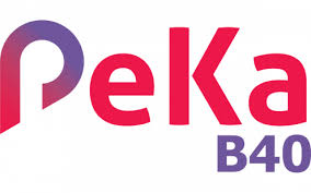 Seperti biasa pembayaran akan dikreditkan terus ke akaun. Government S Aid For The People