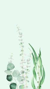 We did not find results for: Plant Phone Wallpapers Top Free Plant Phone Backgrounds Wallpaperaccess
