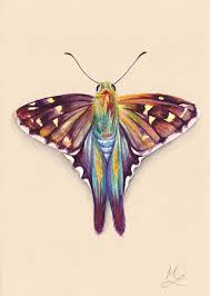 Bleugrisyeux A Small Watercolor Painting Of A Long Tailed Skipper Butterfly That I Gave To My Ac Painting Crafts Watercolor Paintings Scientific Illustration