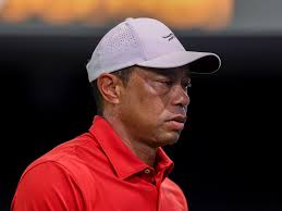 DP World Tour pro makes a hole-in-one and then gets disqualified