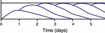 tresiba how do i calculate my daily dose wiki fudiabetes