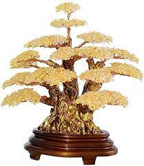 Since it is a slow grower, it is also a good choice for growing in dish gardens or terrariums. Nykk Bonsai Feng Shui Money Tree Gemstone Tree Feng Shui Luck Figurine Natural Quartz Crystal Money Tree Bonsa Crystal Tree Feng Shui Luck Feng Shui Money Tree