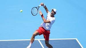 Introduction as of 2021, novak djokovic's net worth is roughly $220 million. Oealmi6is1z2im