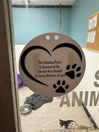 Our first kennel sponsor plaques are up 🩵🐾 Thank you so much to those of  you who have participated in sponsoring a kennel! It goes such a long way  here at MAHS.