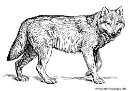 ) the word 'mandala' means circle and there are incredibly beautiful historic examples of artwork created in this circular form. Wolf S To Print Out Coloring Pages Printable