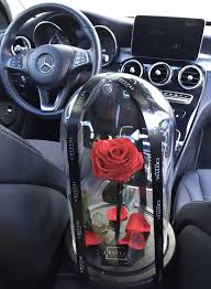 Eternity Rose In Luxury Car Mercedes Benz C Eternity Roses In Glass Dome Nevertellme Com Luxury Cars Mercedes Luxury Cars Luxury