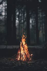 Forest during nighttime hd dark aesthetic wallpapers | hd. Aesthetic Forest Wallpaper Iphone Largest Wallpaper Portal