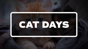 Don graham may 2021 pet holidays. List Of National Cat Days List Of National Days