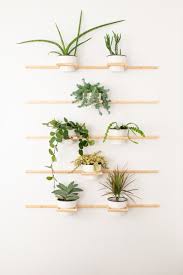 6 Indoor Plant Pot Ideas No One Will See Coming In 2020 Wall Planters Indoor Indoor Plant Pots Plant Holder Diy