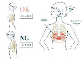肋骨を正しい位置に戻し、美バストに！ エクササイズその1 | ananニュース – マガジンハウス