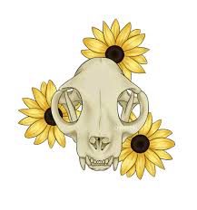 Did you scroll all this way to get facts about skull sunflower? Artstation Cat Skull And Sunflowers Chloe Burden