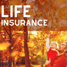 Life insurance corporation of india (lic) life insurance corporation of india (lic) is the largest life insurer in the country. History Of Life Insurance In India All You Need To Know Your Guide To Insurance