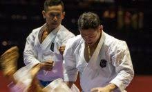 What does kata mean in karate. 7 Teknik Dasar Karate Beserta Gambar Olahragapedia Com