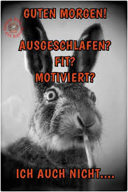 Stefanie Himmighofer Google Guten Morgen Lustig Guten Morgen Liebe Sonne Guten Morgen