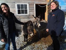 Throwback Brewery unveils two new donkeys