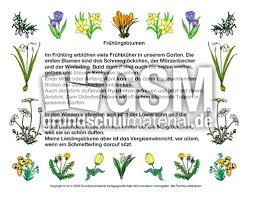 Frühlingsblumen gegenstandsstufe 1 wird beim aufheben gebunden. Abschreibtext Fruhlingsblumen Abschreib Lesetexte Fruhbluher Fruhling Jahreszeiten Hus Klasse 3 Grundschulmaterial De