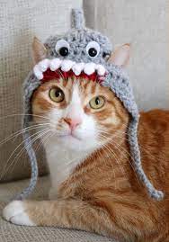 Baby Shark Do Do Hat For Cat Dog Snood Large Dog Costumes