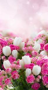 wallpaper iphone 美しい花 花 待ち受け きれいな花