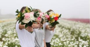 Flower that symbolizes friendship and devotion. Celebrate National Bff Day Friendship Flowers Bouqs Blog