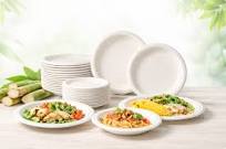 Sugarcane Bagasse Plates | Biodegradable & Compostable Material Guide |  Bioleader®