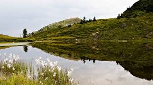 Schnell und sicher online buchen. Erlebnisreiche Woche Im Wanderhotel Gratz In Grossarl Austria Insiderinfo