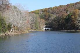 About 3 miles of hiking trails wind throughout the park, and there is a small lake and picnic tables located near the visitor center. Tennessee Watchable Wildlife Dunbar Cave State Park