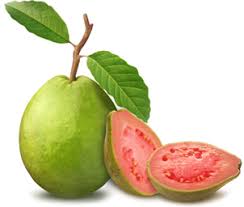 What does jambu batu mean in english? Jambu Batu Png 2 Png Image